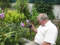 verliebt in Orchideen  ?