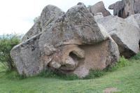 Löwenkopf in einem Fels