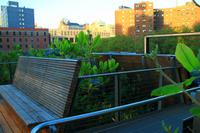 Auf der High Line