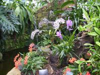 Eric Young Orchid Foundation