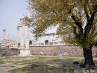 DSC01368Pergamon