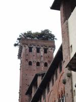 Lucca
