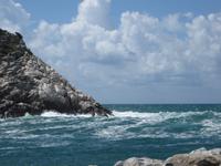 Portovener
