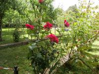 Bootsausflug im NTP Krka Wasserfälle-Insel Visovac