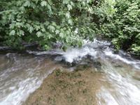im NTP Krka Wasserfälle-Skradinski buk