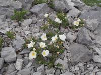 unterwegs am Mali Alan mit Marin und Jeeps