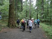 Leska Lehrpfad im NTP Risnjak