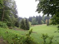 Leska Lehrpfad im NTP Risnjak