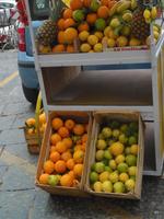 Zitronen und Orangen Siziliens
