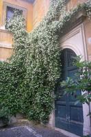 Impressionen in der Altstadt Roms