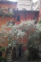 Impressionen in der Altstadt Roms