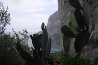 Augustusgarten auf der Insel Capri