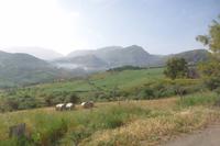 Fahrt ins Madonie-Gebirge