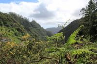 Levada-Wanderung zum Aussichtspunkt „Balcoes“
