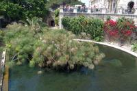 Syrakus - Fonte Aretusa