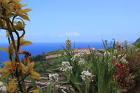 Levada-Wanderung am Adlerfelsen