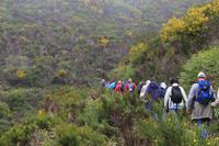 Wanderung im 