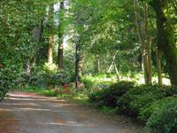 Hotelanlage in Budock Water