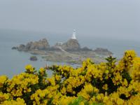 Jersey - Corbiere Leuchtturm mit Ginster