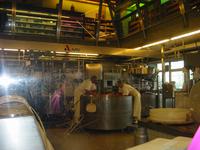 Schaukäserei Affoltern