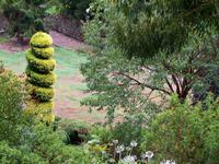 Im Garten der Lady Guthrie