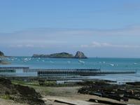 Cancale - Bucht mit Austernbänken