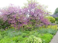 Im Berggarten Herrenhausen