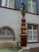 einer der vielen schönen Brunnen von Basel