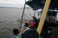 das Netz wird ausgelegt