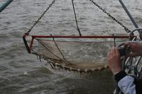 das Netz wird wieder eingeholt