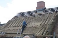 Reetdachdecker bei der Arbeit