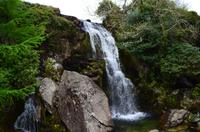 195 Ffestiniog Railway