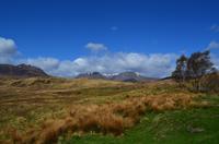 273 Highlands