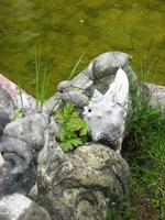 Im Garten von Versailles