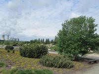 Findlingspark Nochten
