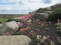 Findlingspark Nochten