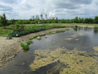 Findlingspark Nochten