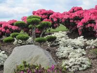 Findlingspark Nochten