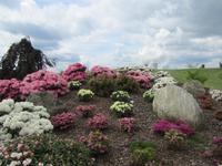 Findlingspark Nochten