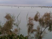 Blick in die Lagune