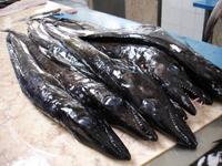 Markthalle Funchal mit dem bekannten Degenfisch