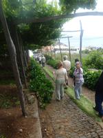 P1010683