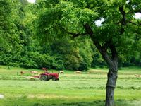 Besuch des Bauernhofs