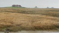 Hallig Nordstrandischmoor