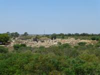 Salamis Ausgrabungen