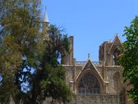Lala-Mustafa-Pasa-Moschee - Minarett hinter dem Baum sichtbar
