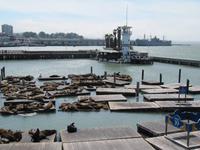 San Francisco - Pier 39