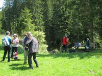 Alm-Rast