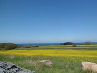Rad Rügen 2013 , unterwegs im Jasmund