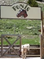 Núria - am See - Ponys